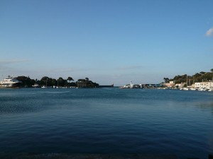 il porto di Ischia Il bacino d'acqua, circolare, un tempo era un lago vulcanico che è stato collegato al mare nel 1854 per volere di Ferdinando II proprio allo scopo di farne un porto
